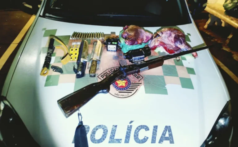 Homem preso por caça ilegal de javali e apreensão de arma e carne