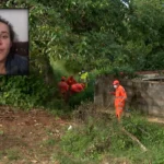 Cena de investigação policial em plantação de bananas no caso de feminicídio em Varginha