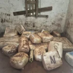 Mesa com drogas apreendidas, pistola 9mm, munições, caderno, balança, celulares e veículos em operação da Polícia Civil em Serra Negra.