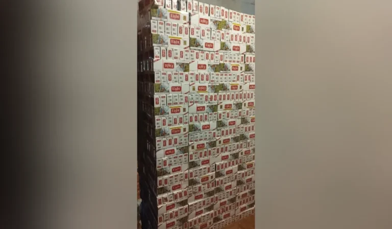 Policiais examinam grande quantidade de cigarros contrabandeados em depósito