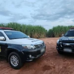 Carro furtado em canavial e motos recuperadas pela polícia de Dracena