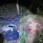 Arma de caça ilegal apreendida pela polícia em flagrante de caçadores de veados