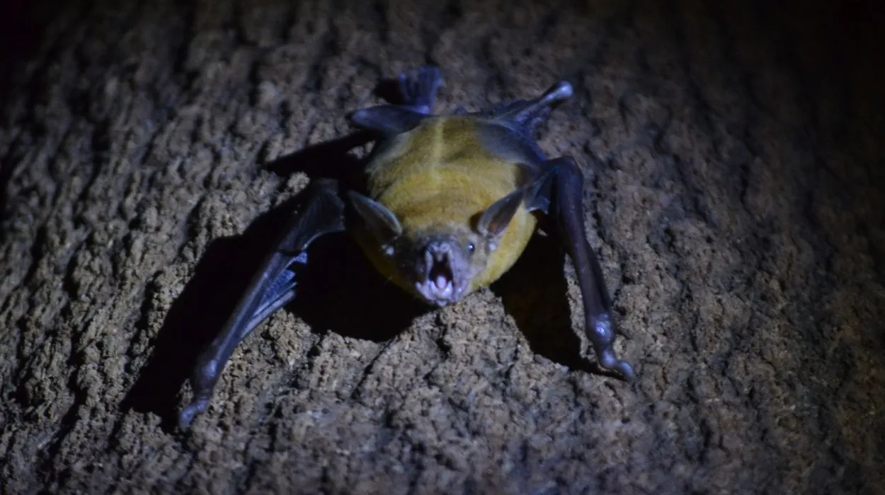 Morcego noturno voando à noite com lua cheia