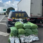 Polícia Rodoviária Federal apreende maconha em caminhão na Dutra
