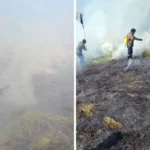 Queimada em Taubaté devastando vegetação com fumaça densa e bombeiros em ação