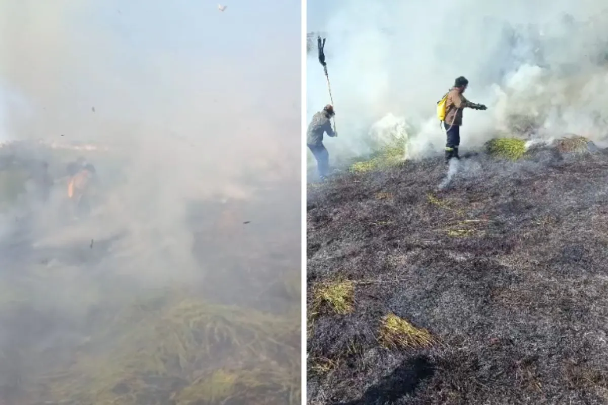 Queimada em Taubaté devastando vegetação com fumaça densa e bombeiros em ação