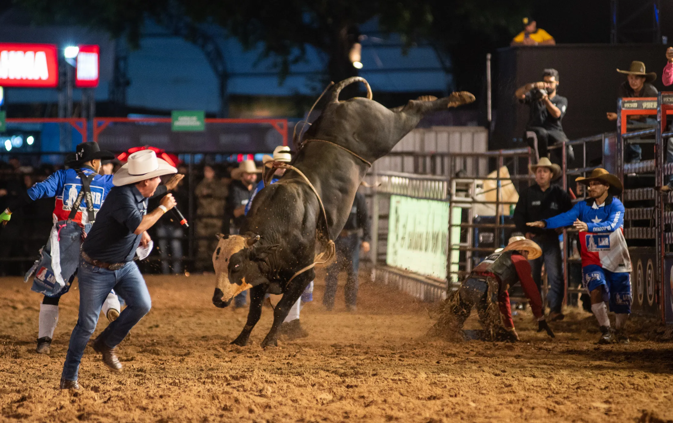 Montaria em touros, rodeio, Ribeirão Rodeo Music, atleta, touro, arena, evento esportivo