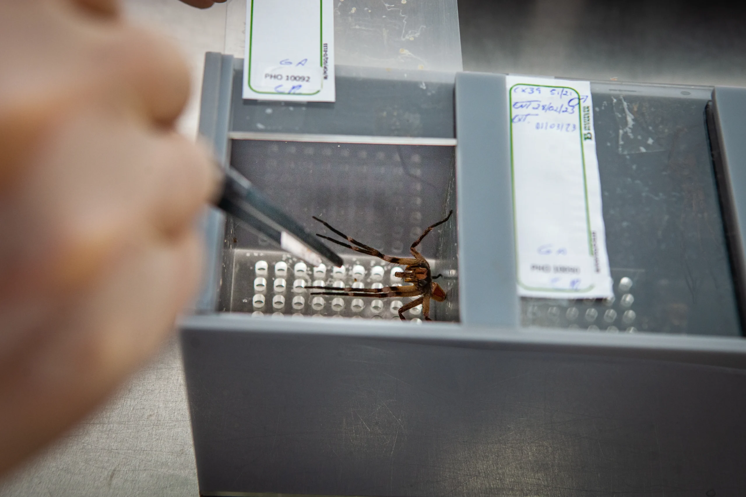 Profissionais de saúde aplicando soro antiofídico em emergência