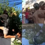 Homem fazendo parkour, saltando sobre valão com jacarés, Rio de Janeiro