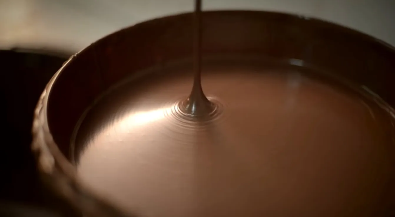 Variedade de chocolates com grãos de cacau, simbolizando a nova lei do cacau em chocolates.