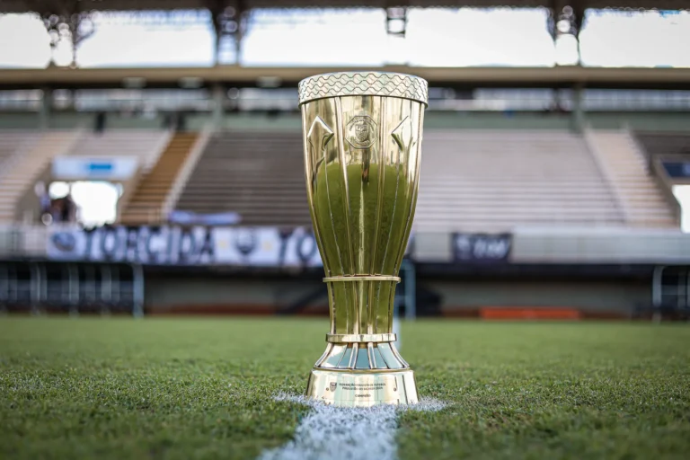 Jogadores comemoram classificação para as semifinais da Paulista Série A3 em campo lotado.