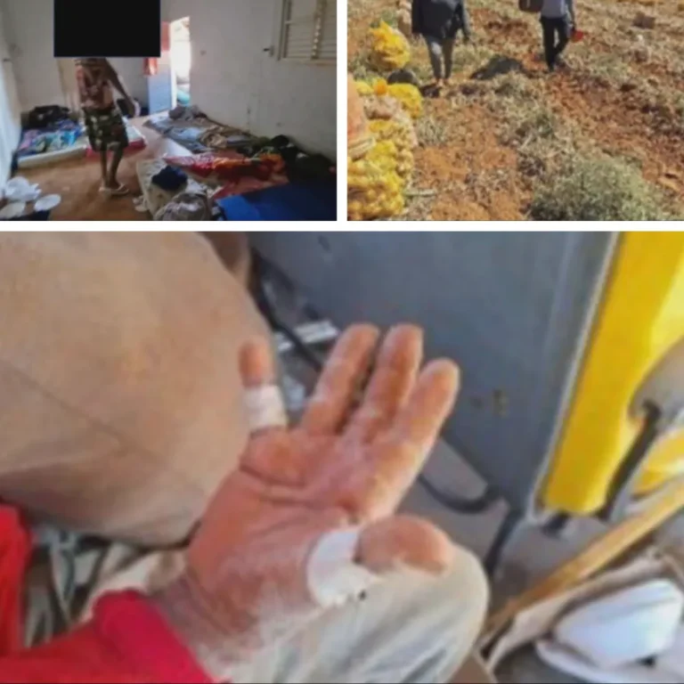 Trabalhador rural em plantação de cebola sob sol forte em Tapiraí, cenário de trabalho escravo em MG