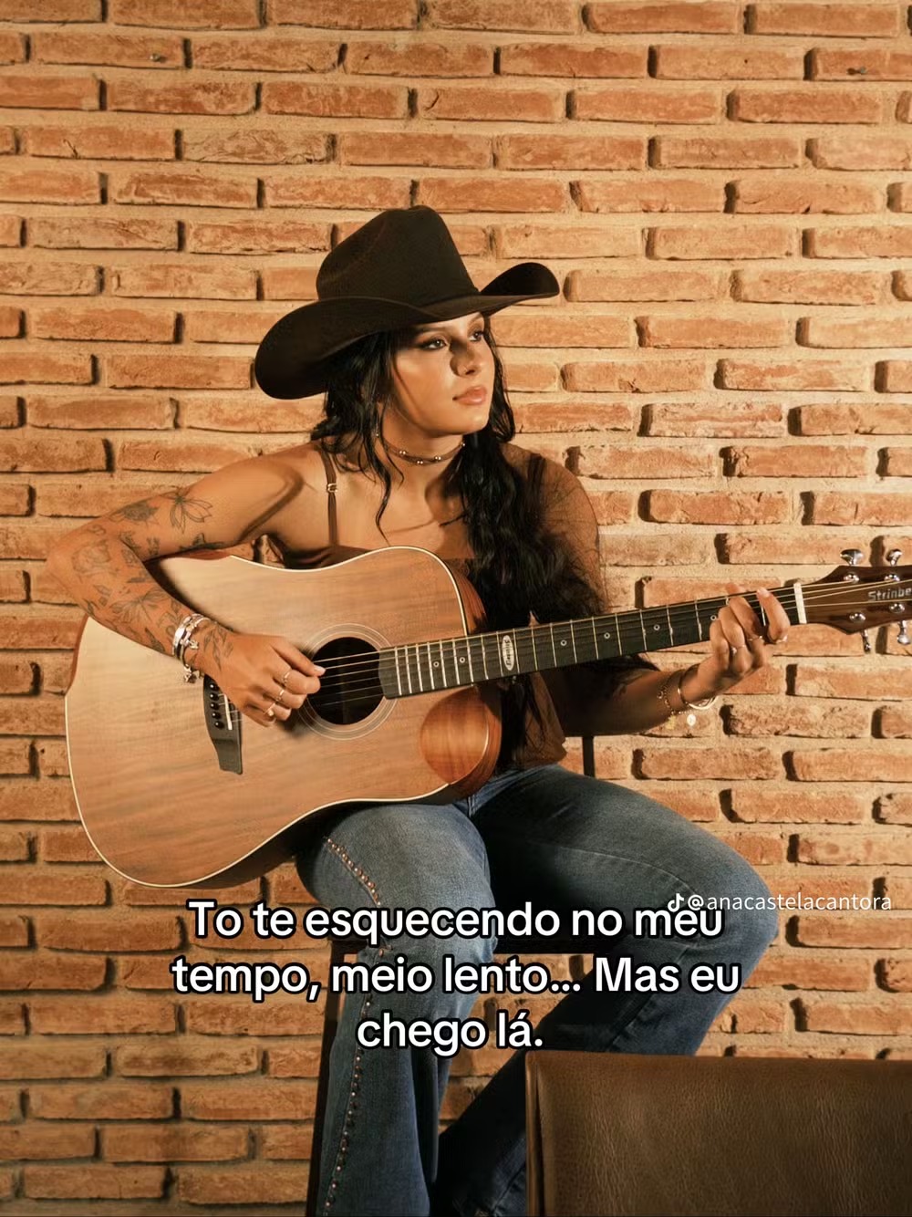 Ana Castela, cantora, entrevista, carreira, sonhos, veterinária, odontologia