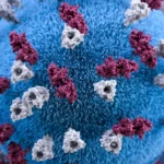 Vista aérea do desmatamento na Amazônia, mostrando o impacto humano na floresta e o risco de Spillover de vírus.