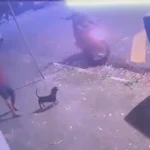 Policial ferido no chão após assalto com motoqueiros fugindo