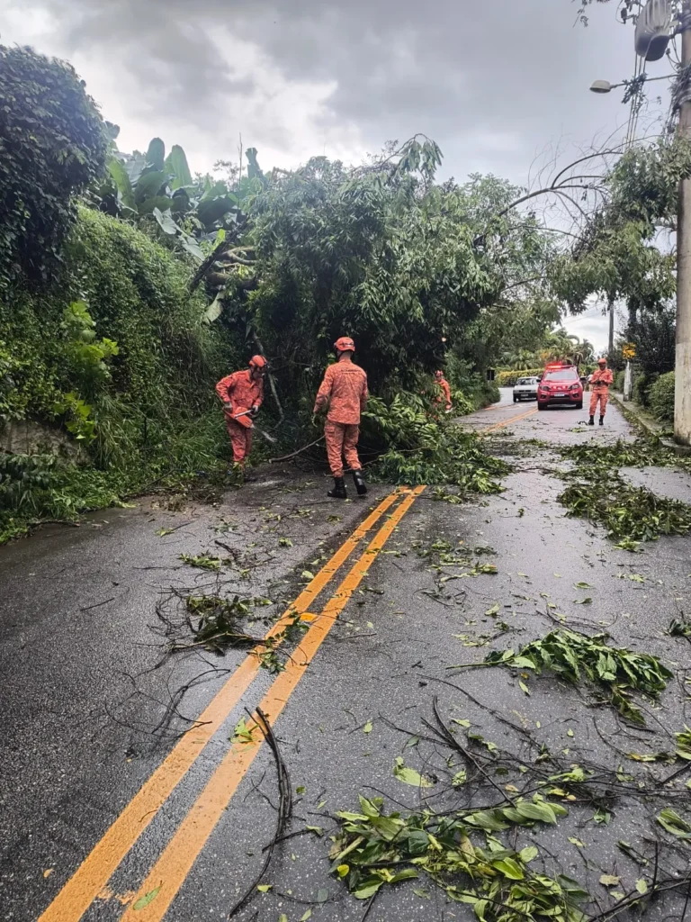 Rua com árvore caída em Nova Friburgo após temporal