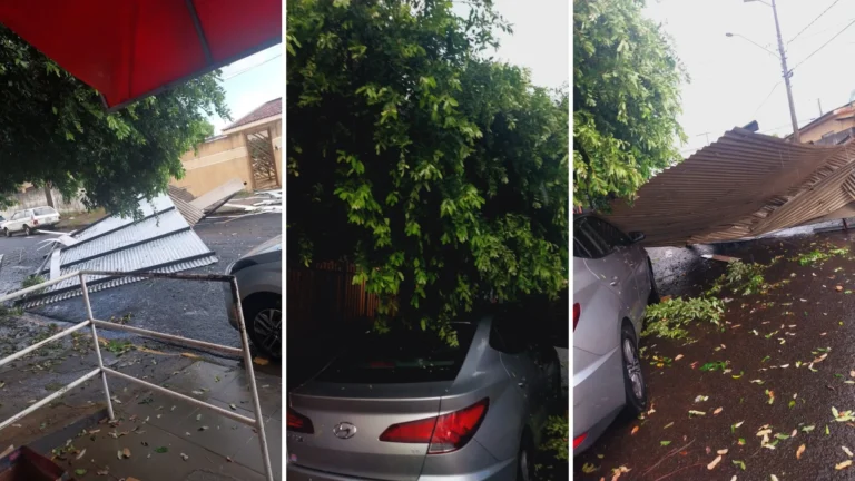 Rua de Fernandópolis após temporal com árvore caída e alagamento