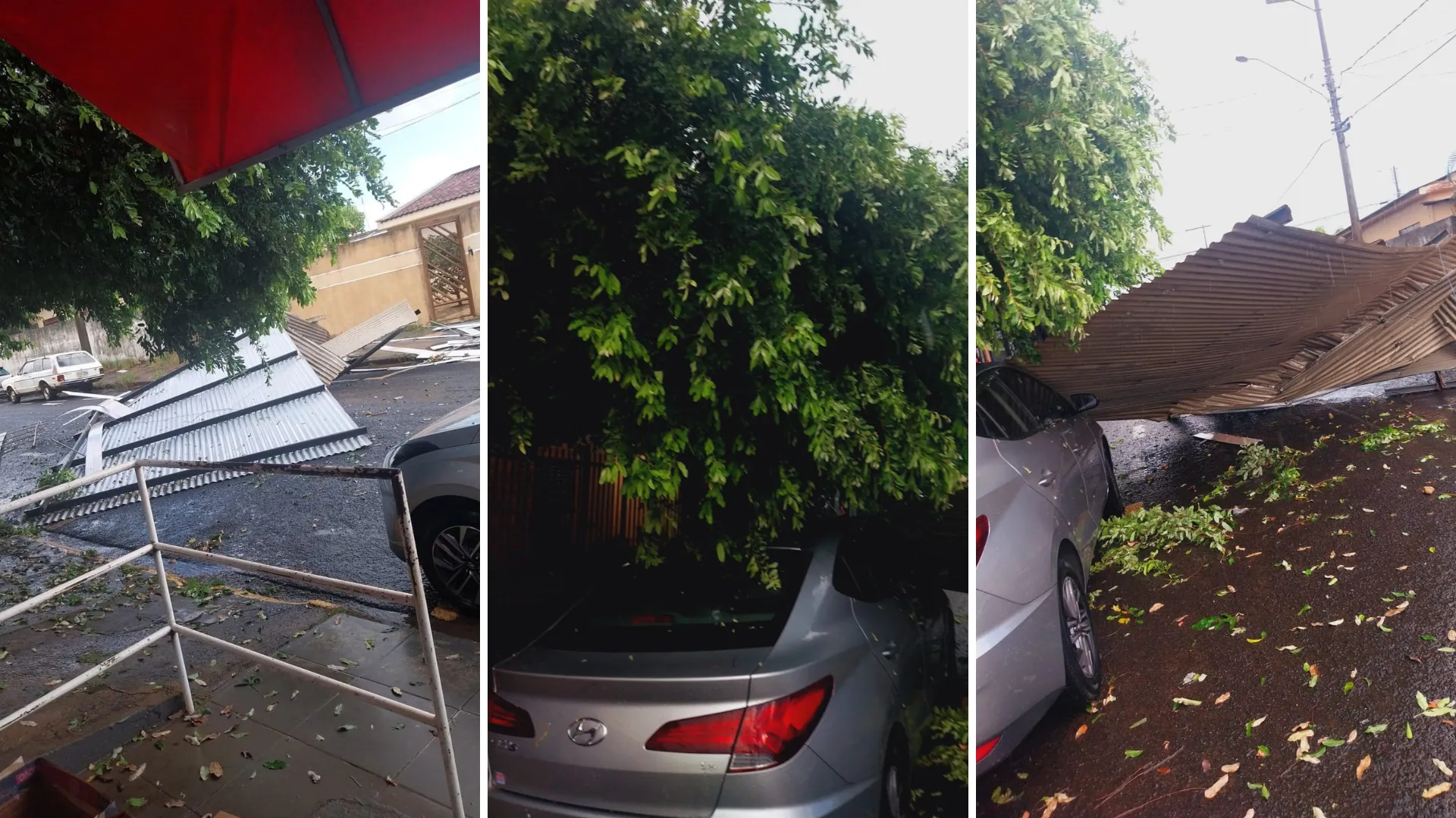 Rua de Fernandópolis após temporal com árvore caída e alagamento