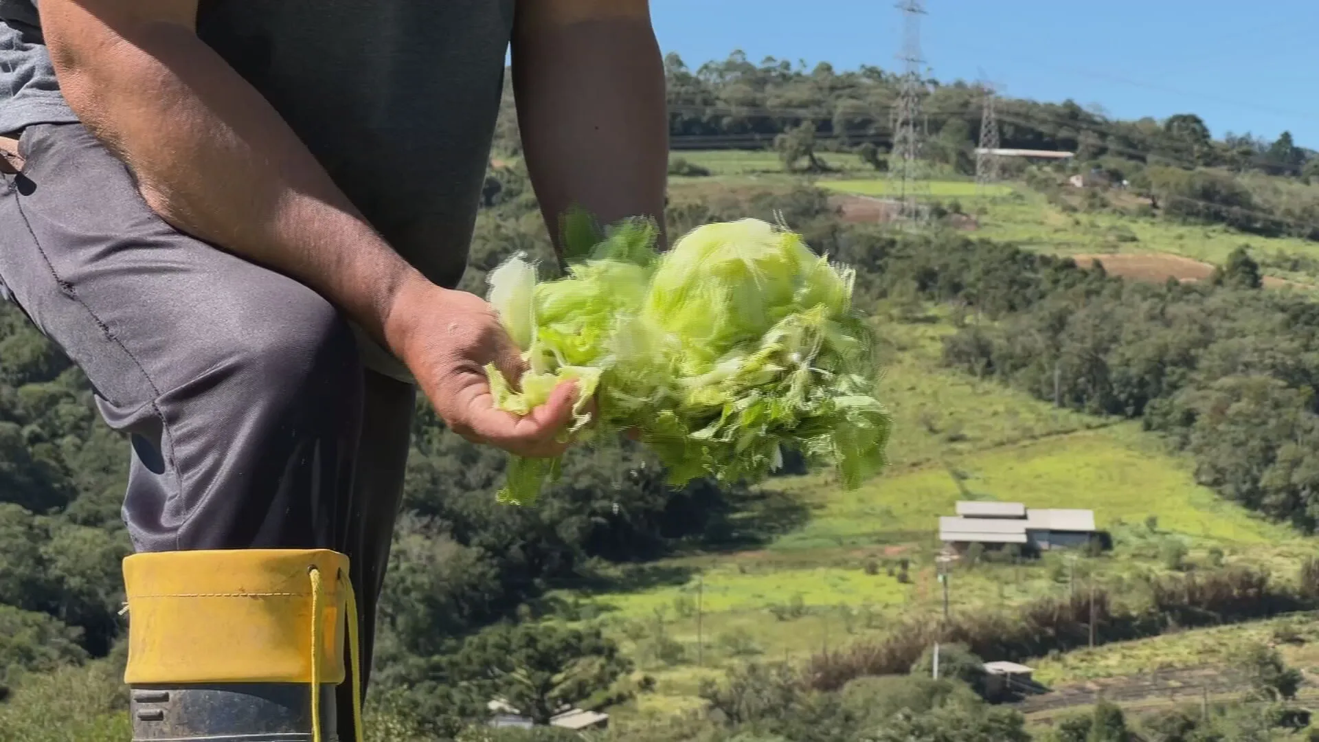 Campos agrícolas de Piedade destruídos após tempestade de granizo