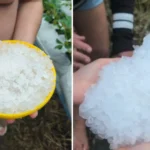 Telhados danificados e plantações destruídas após temporal com granizo em Piedade, SP