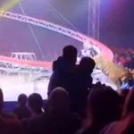 Tigre pula circo em Rostov-on-Don, Rússia, após barreira desabar