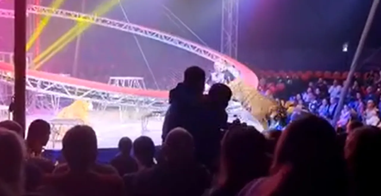 Tigre pula circo em Rostov-on-Don, Rússia, após barreira desabar
