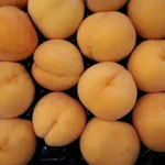 Foto de jabuticabas maduras com açaí e guaraná ao fundo, representando as frutas brasileiras no ranking TasteAtlas.