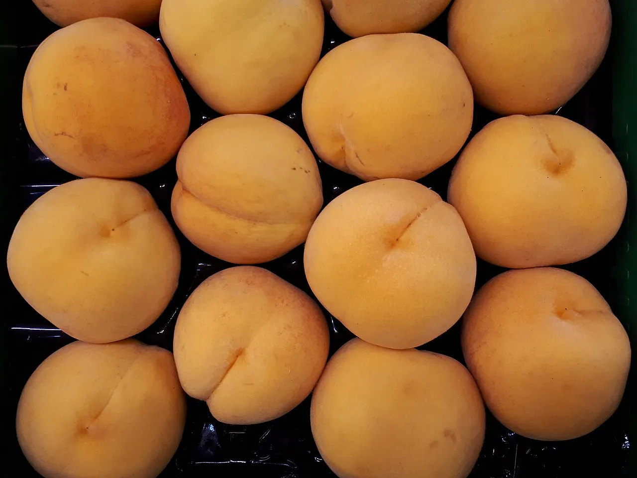 Foto de jabuticabas maduras com açaí e guaraná ao fundo, representando as frutas brasileiras no ranking TasteAtlas.