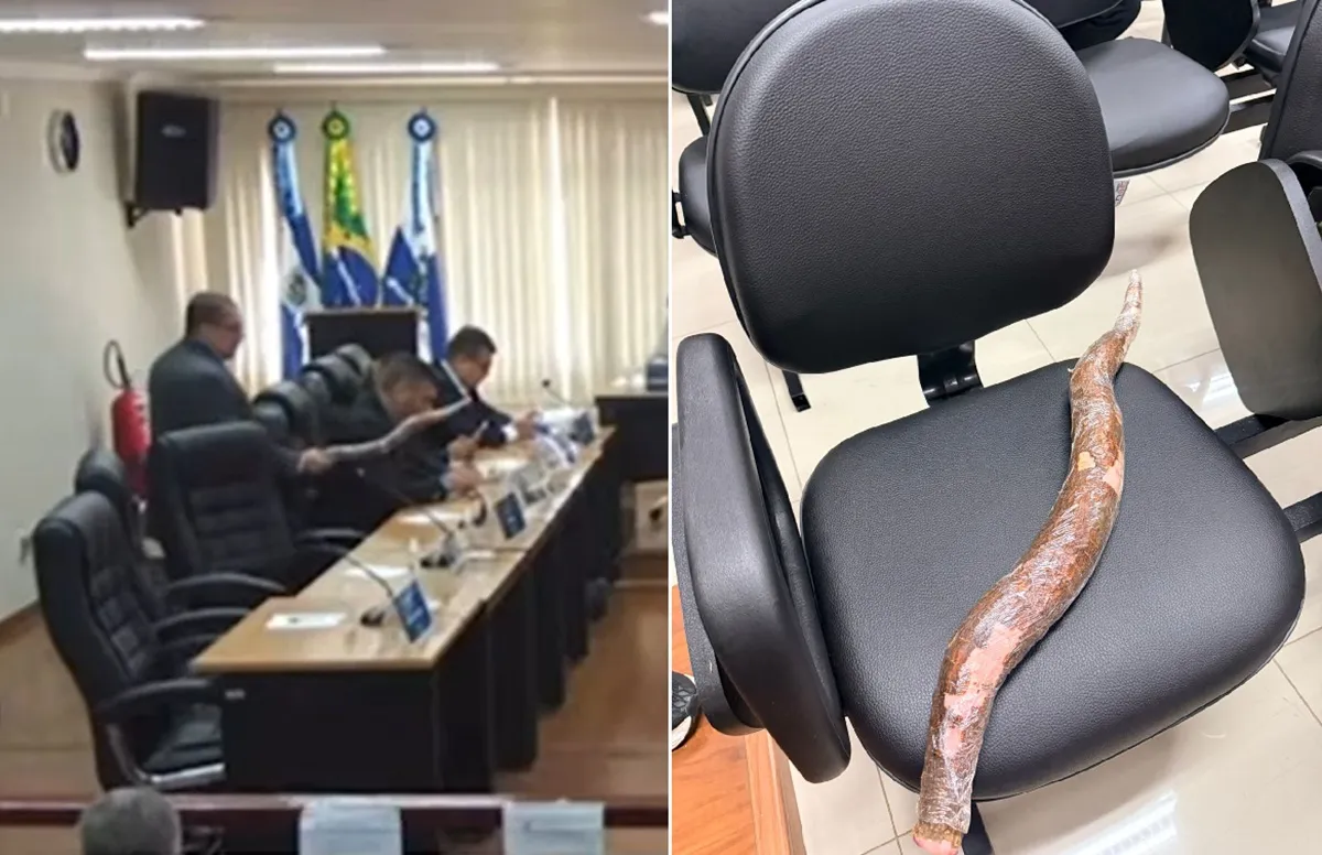 Vereador Dunga com mandioca no plenário da Câmara de Cachoeiras de Macacu