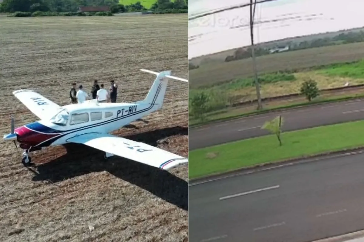 Avião monomotor branco pousado em milharal verde, sem danos visíveis, após pouso de emergência em Londrina, PR.