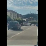 Cavalo solto na Avenida Presidente Dutra em Itaperuna