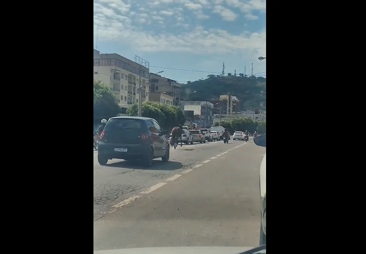 Cavalo solto na Avenida Presidente Dutra em Itaperuna