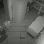 Homem mascarado engatinhando em cozinha de creche durante furto noturno em Mogi Guaçu