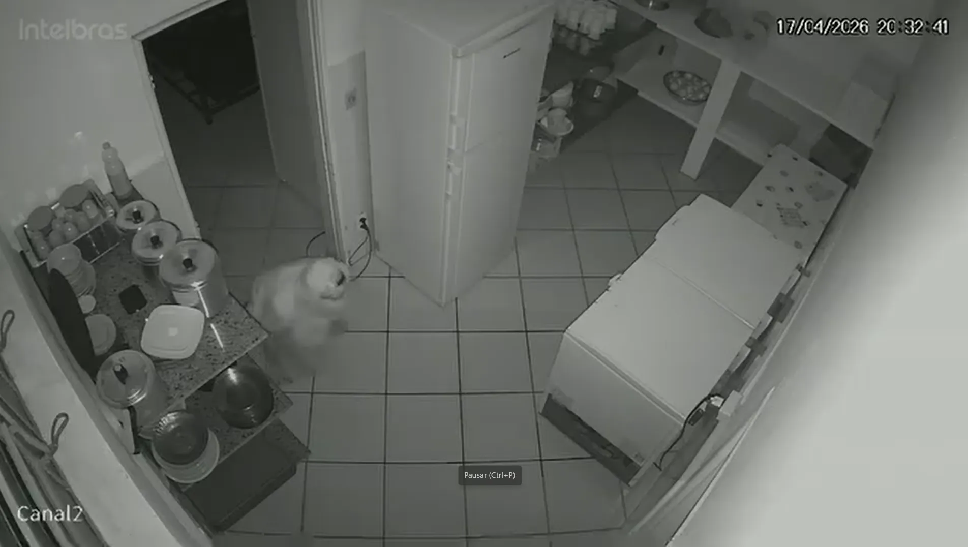 Homem mascarado engatinhando em cozinha de creche durante furto noturno em Mogi Guaçu