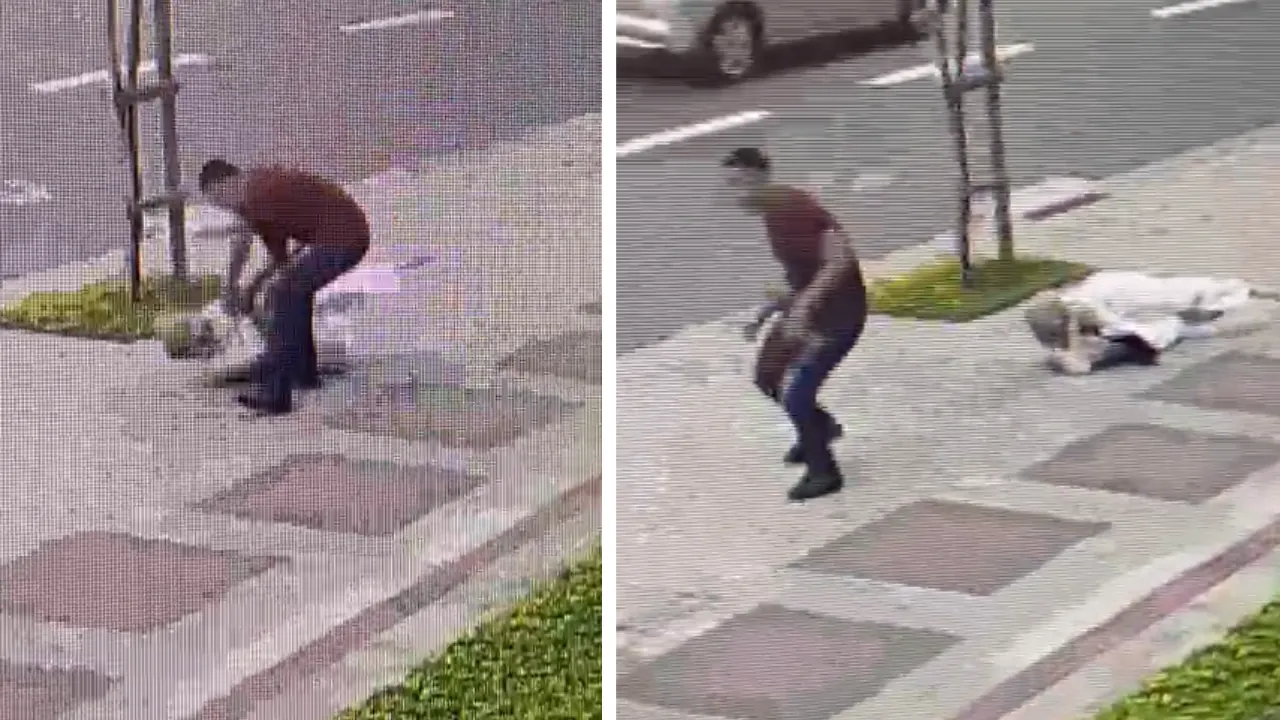 Assalto idosa BH: Mulher cai no chão após agressão de ladrão