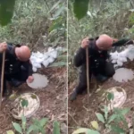 Policial militar encontra e desenterra drogas em mata no Bonfim, Petrópolis