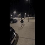 Robô humanoide Edward Warchocki afugentando javalis em Varsóvia