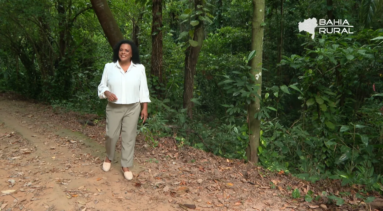 Salvador, Bahia, notícias, cidade, arquitetura, dia a dia